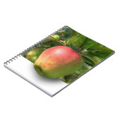 Mango 3 D Spiral Foto Notebook Notizblock (Linke Seite)