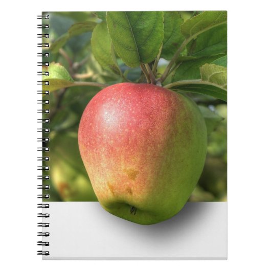 Mango 3 D Spiral Foto Notebook Notizblock (Vorderseite)