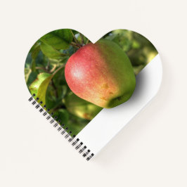 Mango 3 D Spiral Foto Notebook Notizblock