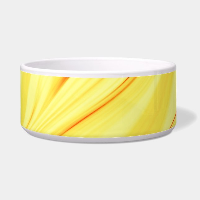 Mango-Creme, mit gekrümmtem Rot oder korallenförmi Napf (Vorderseite)