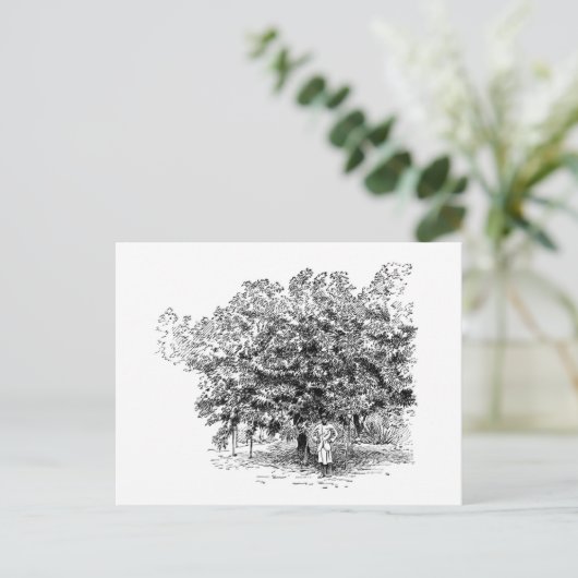 Mango Farmer Postkarte (Stehend Vorderseite)