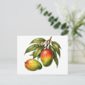 Mango-Fruchtzweig im Vintage-Stil Postkarte (Stehend Vorderseite)