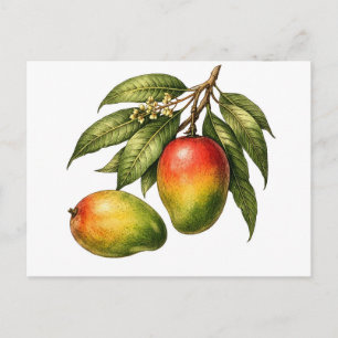 Mango-Fruchtzweig im Vintage-Stil Postkarte