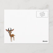 Mango, Gazelle Postkarte (Rückseite)