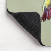 Mango Hummingbird Anthracocorax 2 Mousepad (Ecke)