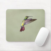 Mango Hummingbird Anthracocorax 2 Mousepad (Mit Mouse)