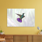 Mango Hummingbird Anthracocorax Leinwanddruck (Insitu (Wohnzimmer))