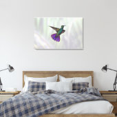 Mango Hummingbird Anthracocorax Leinwanddruck (Insitu (Schlafzimmer))