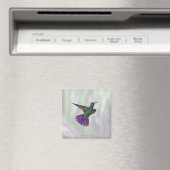 Mango Hummingbird Anthracocorax Magnet (In Situ (Geschirrspüler))