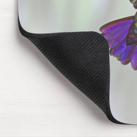 Mango Hummingbird Anthracocorax Mousepad (Ecke)