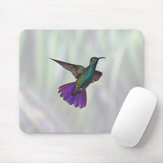Mango Hummingbird Anthracocorax Mousepad (Mit Mouse)