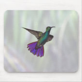 Mango Hummingbird Anthracocorax Mousepad (Vorne)