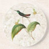 Mango Hummingbird Sandstone Untersetzer (Vorne)