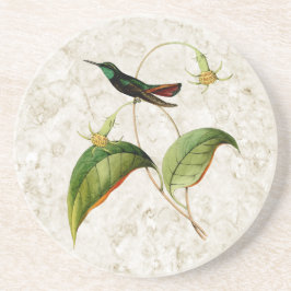Mango Hummingbird Sandstone Untersetzer