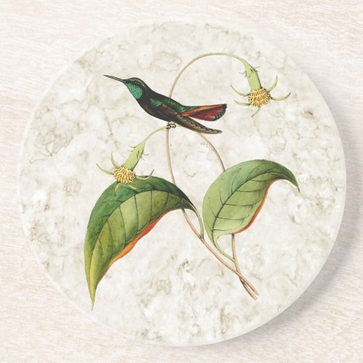 Mango Hummingbird Sandstone Untersetzer (Vorne)