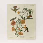 Mango Hummingbird von Audubons Vögeln in Amerika Puzzle (Vertikal)
