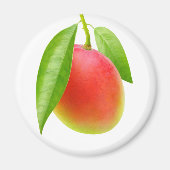 Mango Magnet (Vorne)