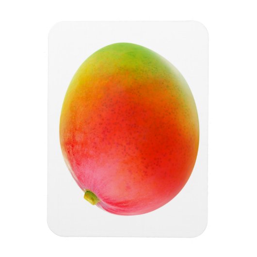 Mango Magnet (Vertikal)