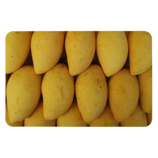 Mango Magnet (Horizontal)