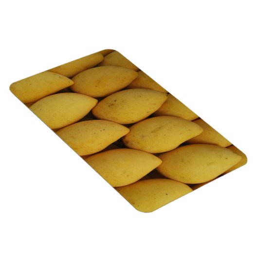 Mango Magnet (Rechte Seite)