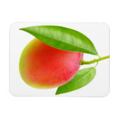 Mango Magnet (Horizontal)