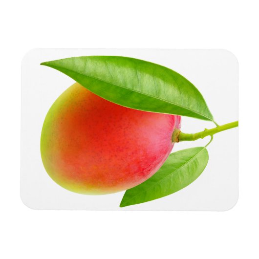 Mango Magnet (Horizontal)