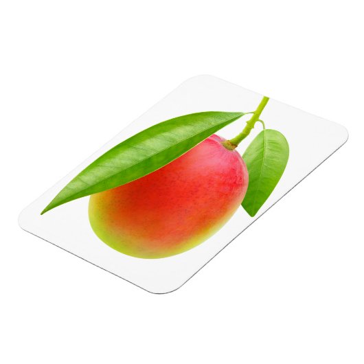 Mango Magnet (Linke Seite)