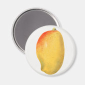 Mango Magnet (Vorderseite/Rückseite)
