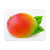 Mango Magnet (Horizontal)