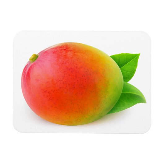 Mango Magnet (Horizontal)