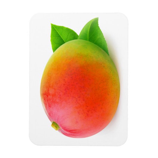 Mango Magnet (Vertikal)