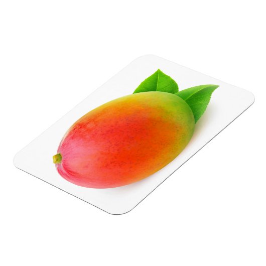 Mango Magnet (Linke Seite)