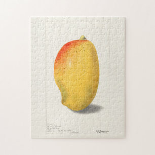 Mango (Mangifera Indica) Frucht Aquarellmalerei Puzzle