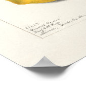 Mango (Mangifera Indica) Fruchtfarben Poster (Ecke)