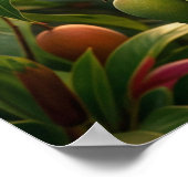 Mango Papagei Baldachin Poster (Ecke)