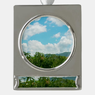 Mango-Plantage Dambulla Sri Lanka Acryl-Wanduhr Banner-Ornament Silber