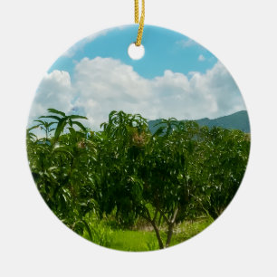 Mango-Plantage Dambulla Sri Lanka Acryl-Wanduhr Keramik Ornament