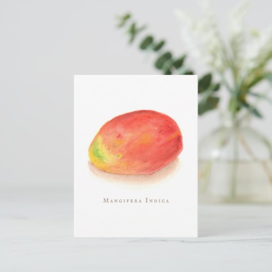 Mango! Postkarte (Stehend Vorderseite)