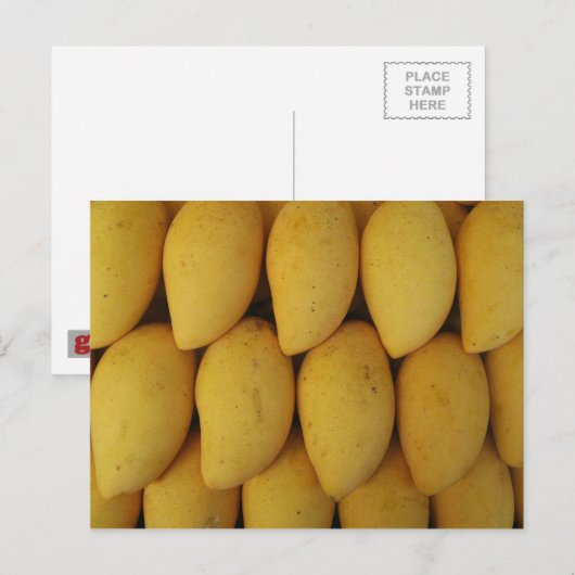 Mango Postkarte (Vorne/Hinten)