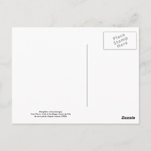 Mango Postkarte (Rückseite)