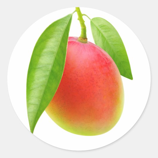 Mango Runder Aufkleber (Vorderseite)
