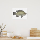 Mango Tilapia Poster (Küche)