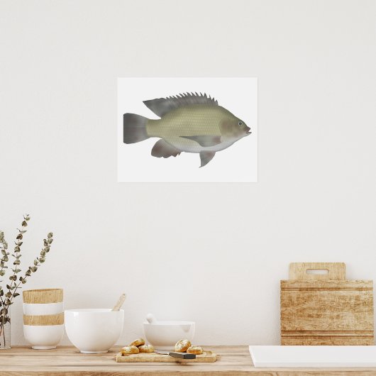 Mango Tilapia Poster (Küche)