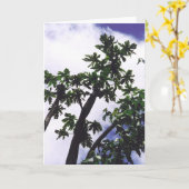 Mango Tree Karte (Gelbe Blume)