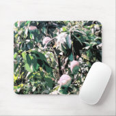 Mango Tree Mousepad (Mit Mouse)