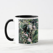 Mango Tree Tasse (Links)