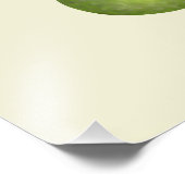 Mango und Avocado Fotodruck (Ecke)