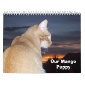 Mango-Welpe Kalender (Titelbild)