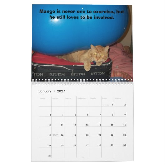 Mango-Welpe Kalender (Jan 2027)