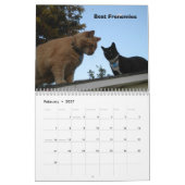 Mango-Welpe Kalender (Feb 2027)